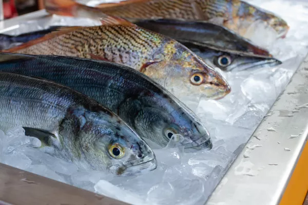 В Адыгее с помощью ФГИС «Меркурий» пресечен оборот мороженой рыбы неизвестного происхождения