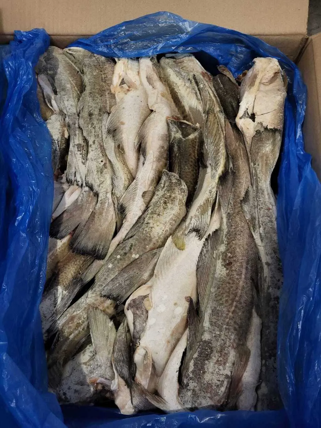 фотография продукта Тушка хека мороженая